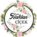 Haktan Çiçek
