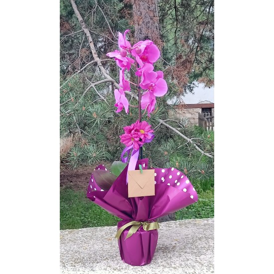 Orkide Tekli Mor